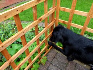 Ani 911 to the rescue.. "It's here, Mum"