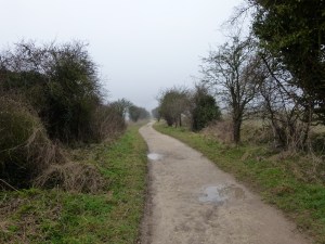 The Ridgeway