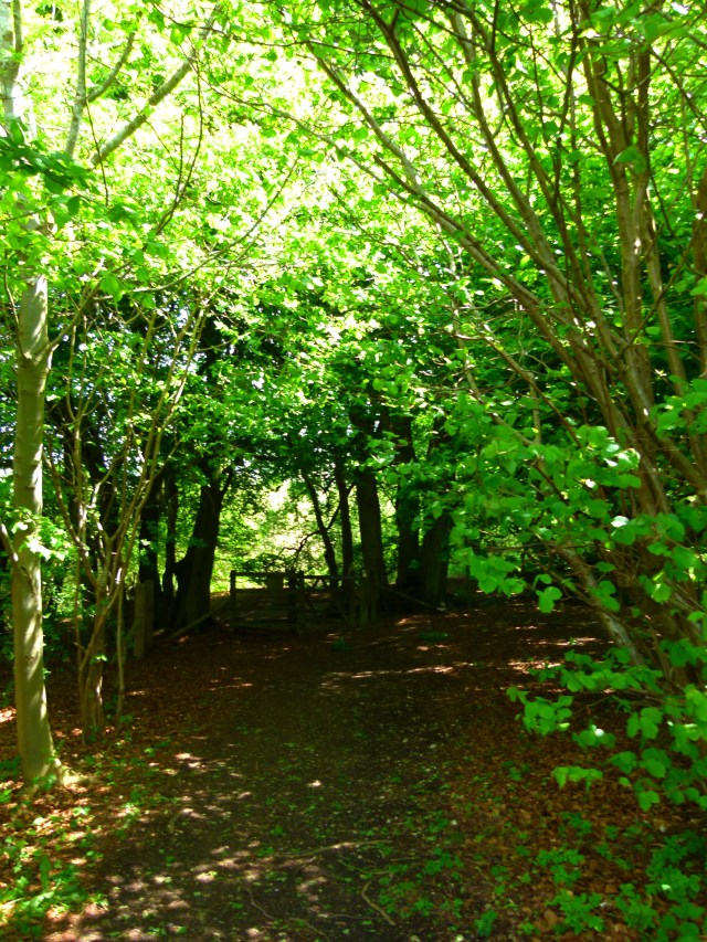 the triumph of horsenden 059