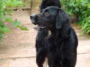 We all know who won this round... ;-)