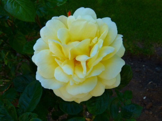 "Where there is no love, put love -- and you will find love." Juan de la Cruz