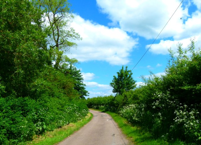 the  lane