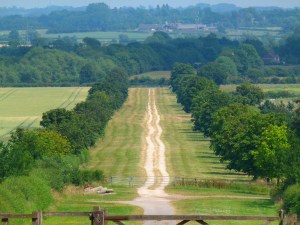 Ivinghoe and cathedral 106