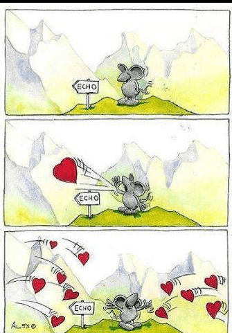 echo love