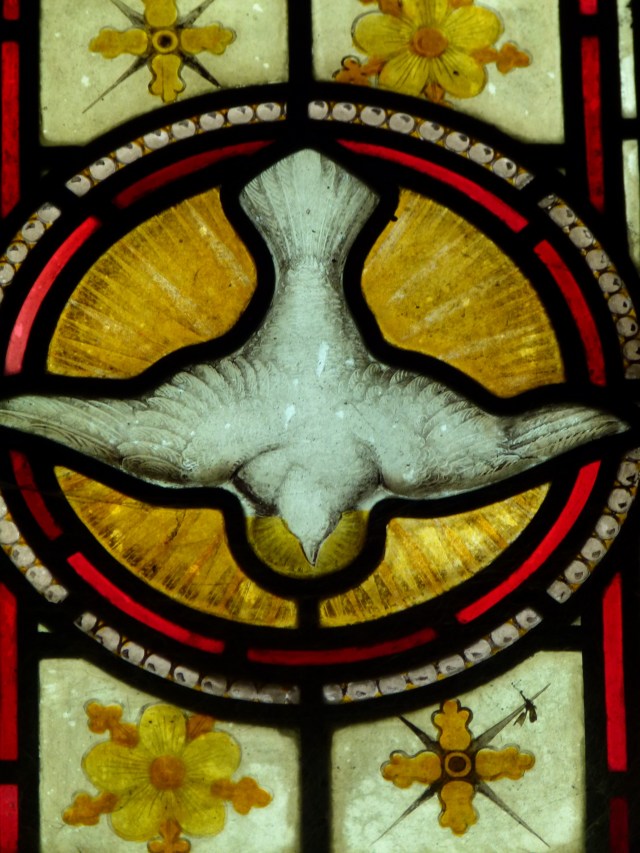 sheffield book weekend 515