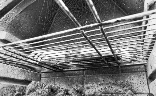 Grill  and spiderweb by Nick Verron