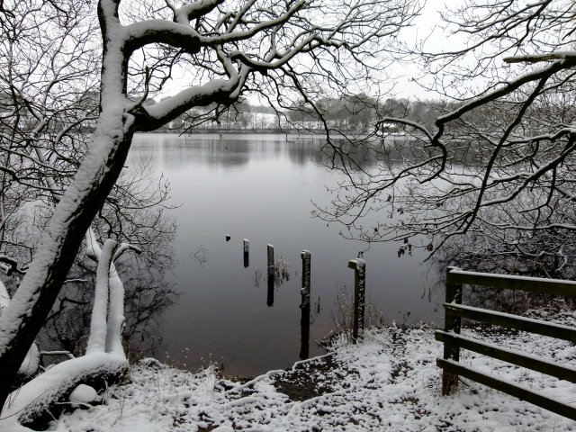 Copy of northagain 035