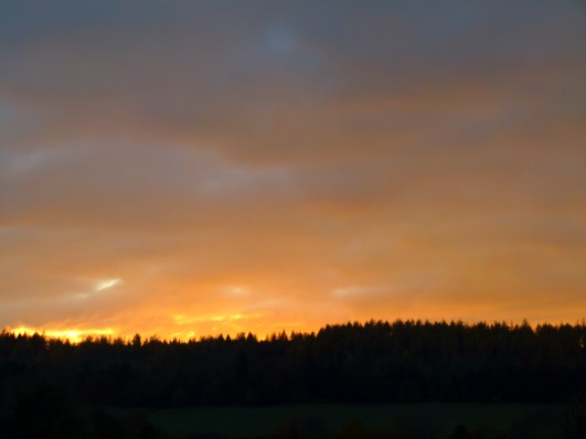 november hawk orc 085