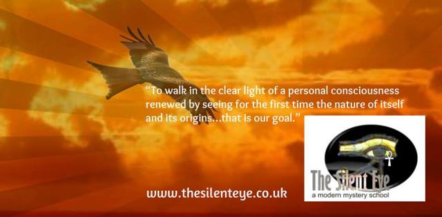 1545141_405026336295073_488871505_n