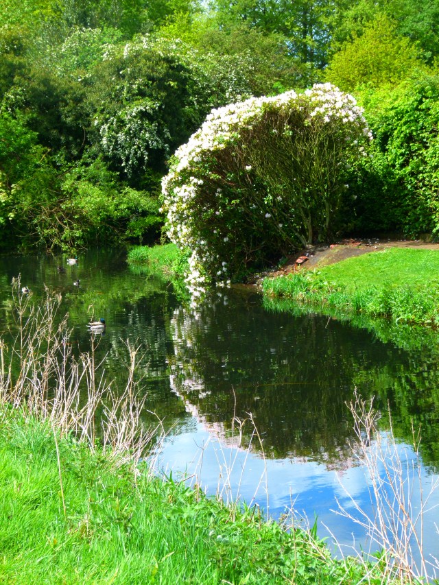 Diana and co north 003