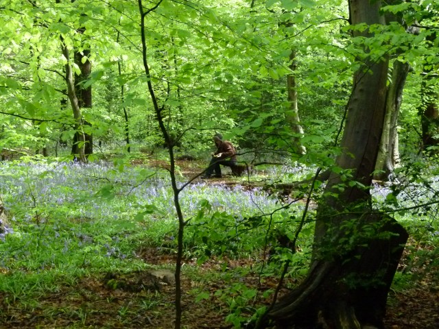 Diana and co north 005