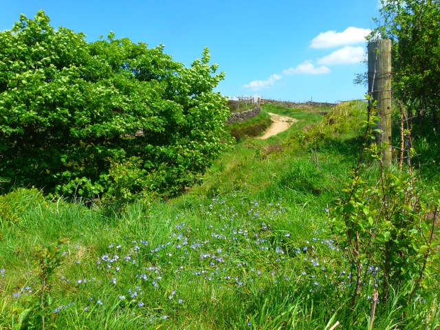 Diana and co north 006