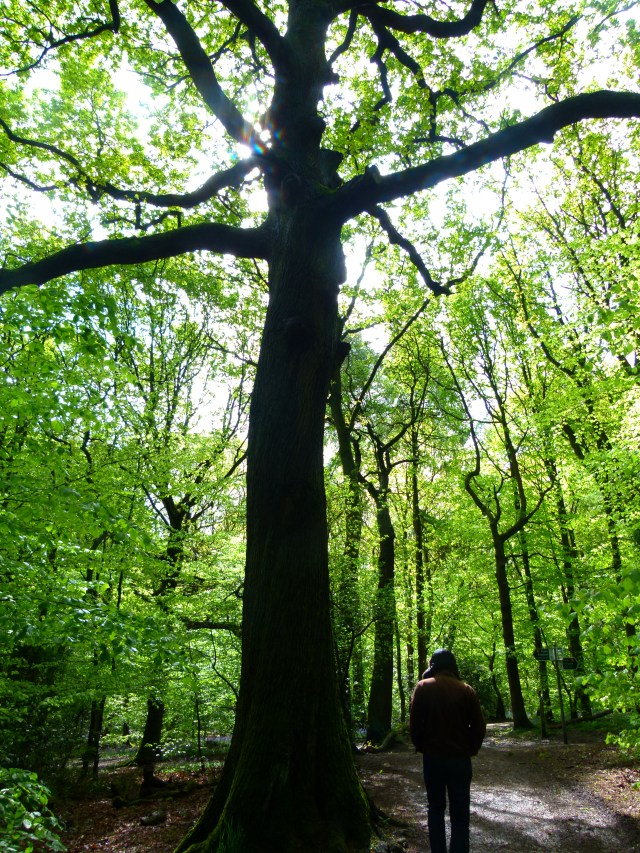 Diana and co north 016