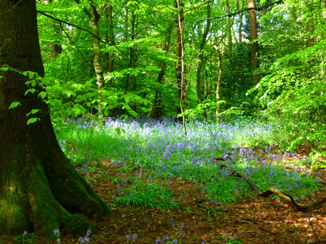 Diana and co north 018