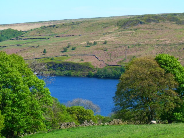 Diana and co north 084