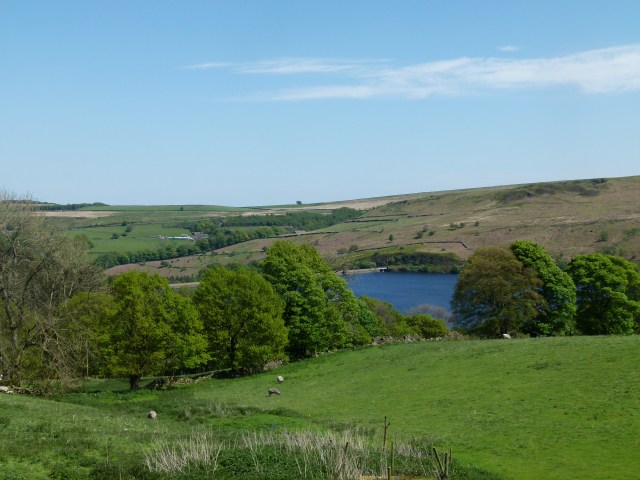 Diana and co north 090