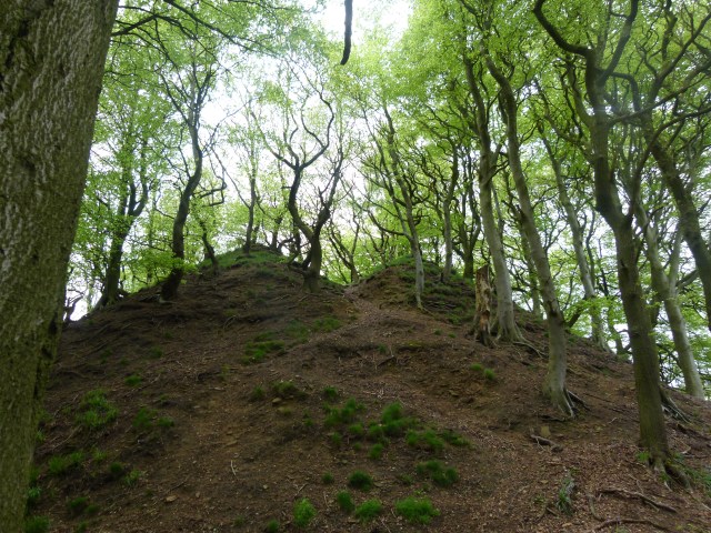 Diana and co north 124