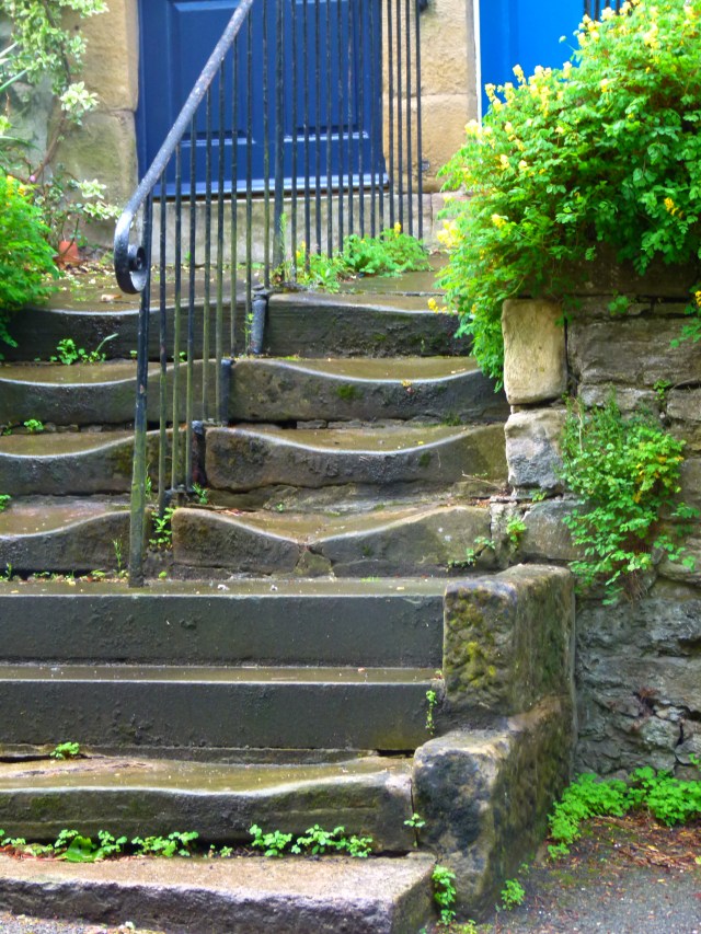 Diana and co north 133