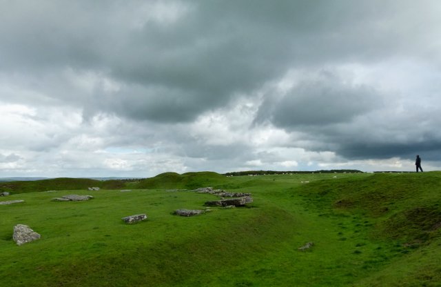 Diana and co north 137