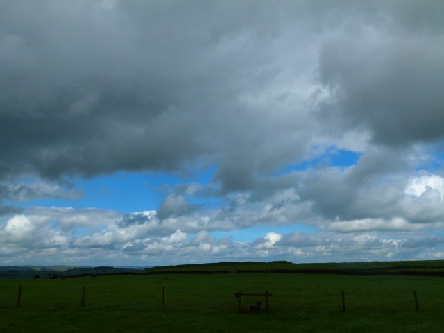 Diana and co north 183