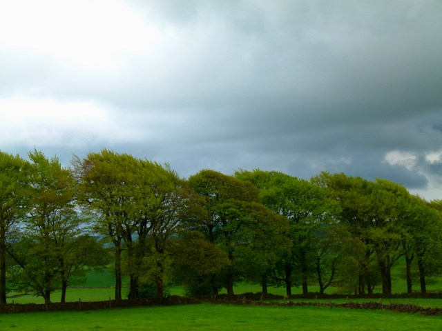 Diana and co north 197