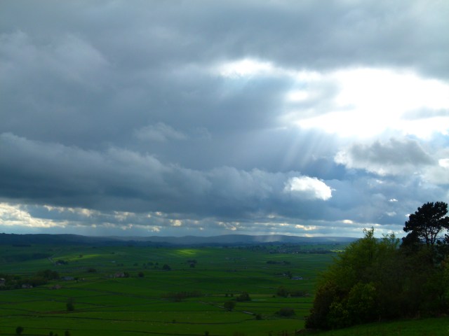 Diana and co north 252