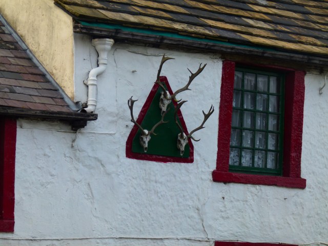 Diana and co north 256