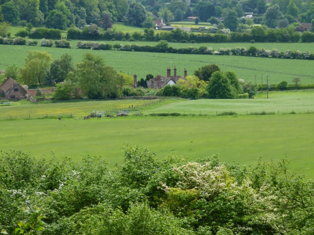 diana nick ashridge 083