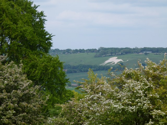 diana nick ashridge 164