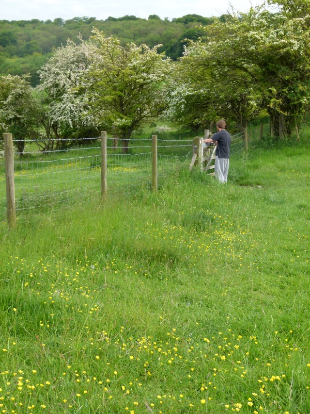 diana nick ashridge 181