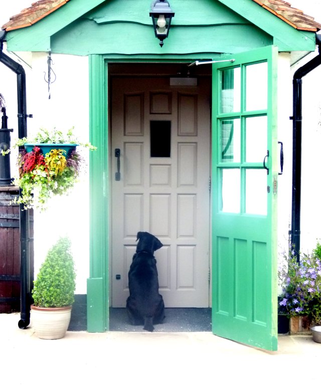 diana nick ashridge 186