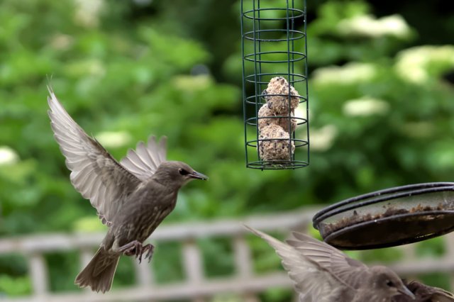 Landing - by Nick Verron