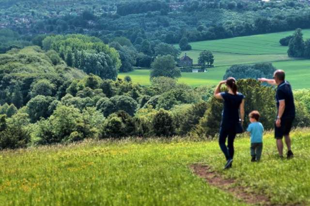 Trees, by Nick Verron. The final cut.