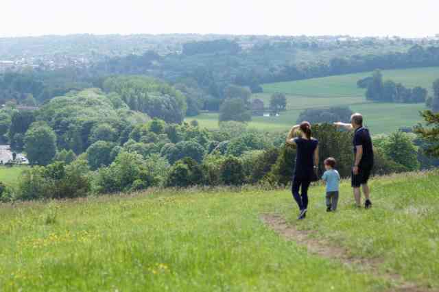 Nick's original, unedited image