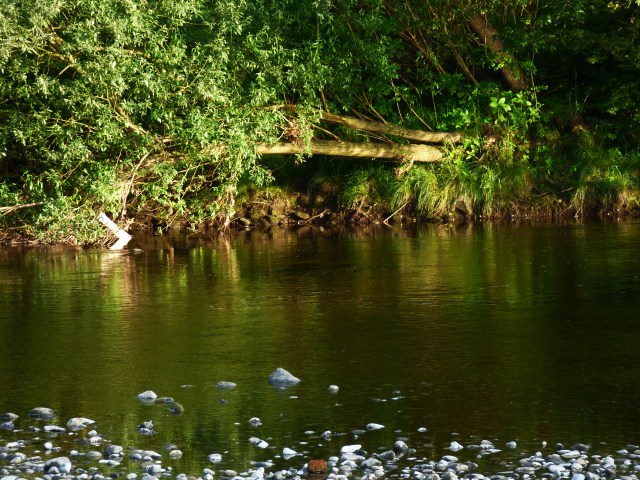 X ilkley weekend 060