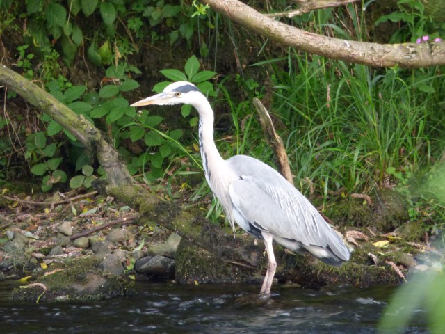 X ilkley weekend 093