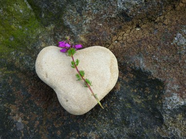 X ilkley weekend 151