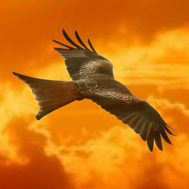 1546129_405002772964096_365276569_n