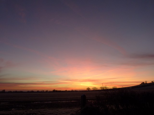 dawn 029