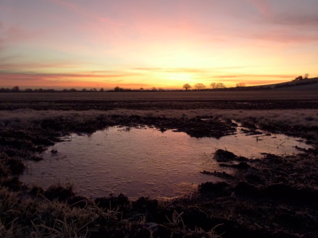 dawn 030