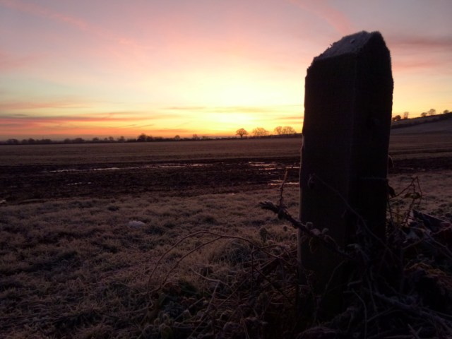 dawn 034
