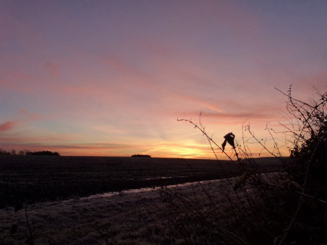 dawn 047