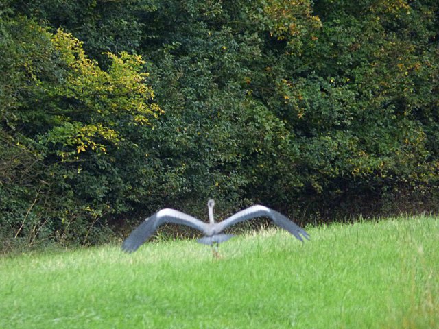 The wings of the moment