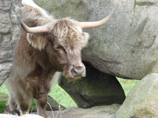 X heather weekend 152