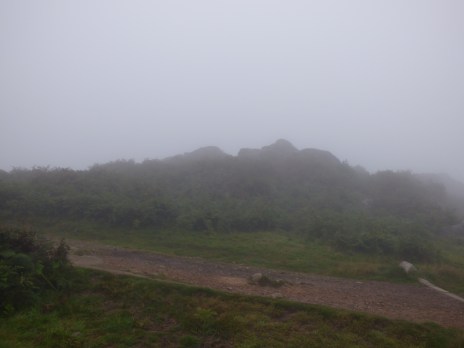 harvest being 2014 060