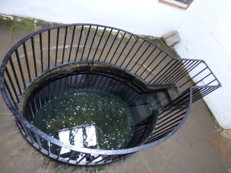 harvest being 2014 232