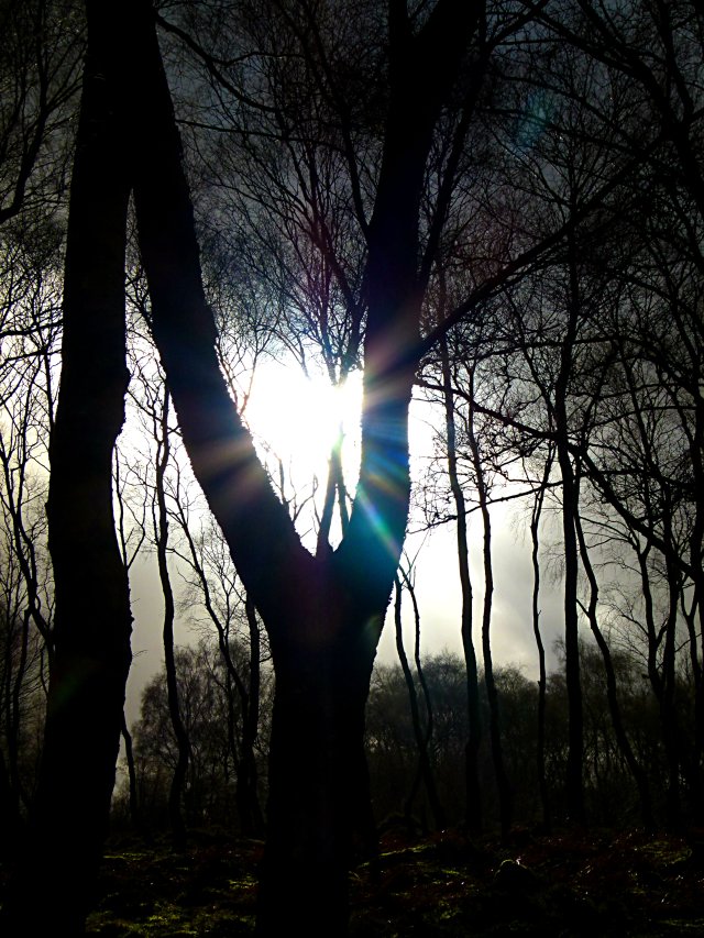 Arbor Low and Stanton Moor Imbolc 001 (125)