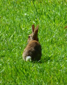 x churches doors 162