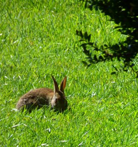 x churches doors 164
