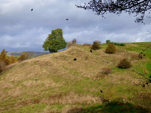 x hobhurst, ballcross, bakewell, sheffield weekend 010